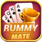 Rummy Mate