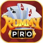 Rummy Pro
